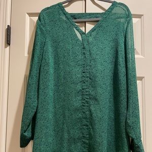 Cabi Style “5208 Bountiful Green Sheer Long Sleeve Blouse Size Large.